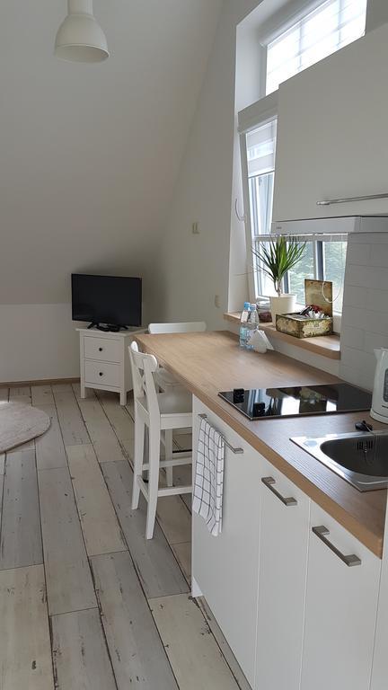 Inga Vacation House 드루스키닝카이 외부 사진