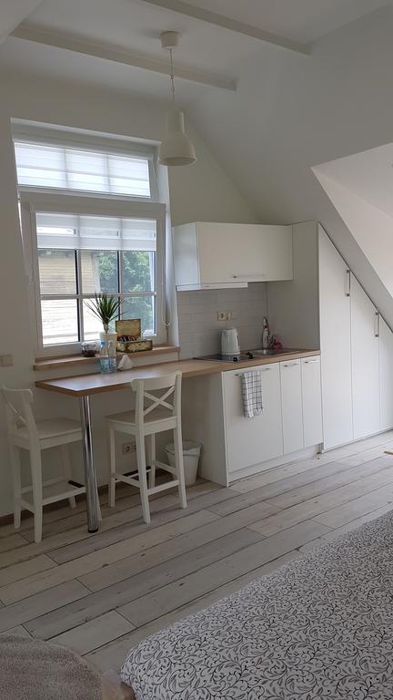 Inga Vacation House 드루스키닝카이 외부 사진