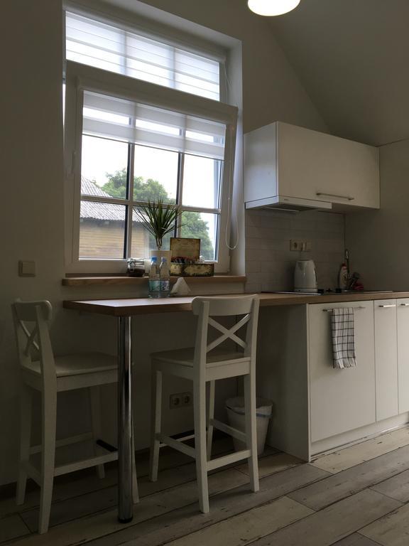 Inga Vacation House 드루스키닝카이 외부 사진